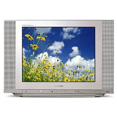 위니아전자 써머스 DTQ-29D5_이미지