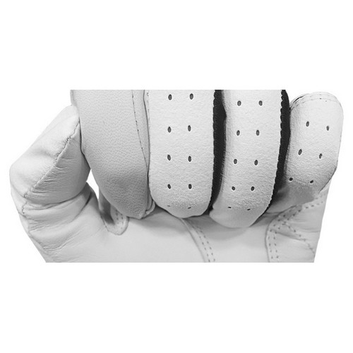 기어엑스 베이직 알파 반양피 골프장갑 오른손 (5개)_이미지