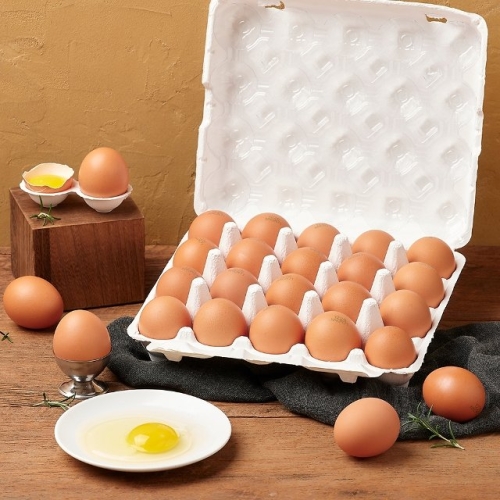 ����û�� ���׻��� ������ȣ 1�� �ڿ���� ������ 20��
