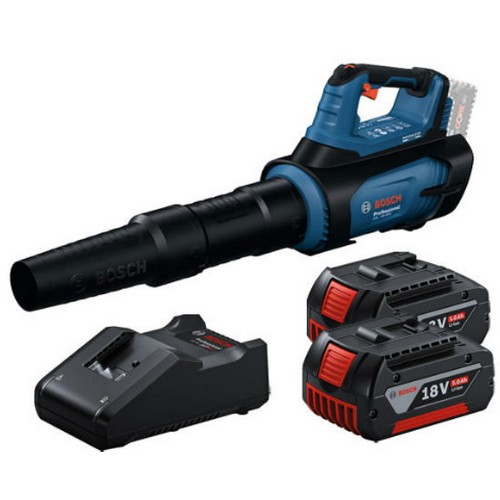 보쉬 GBL 18V-800 (5.0Ah, 배터리 2개)_이미지