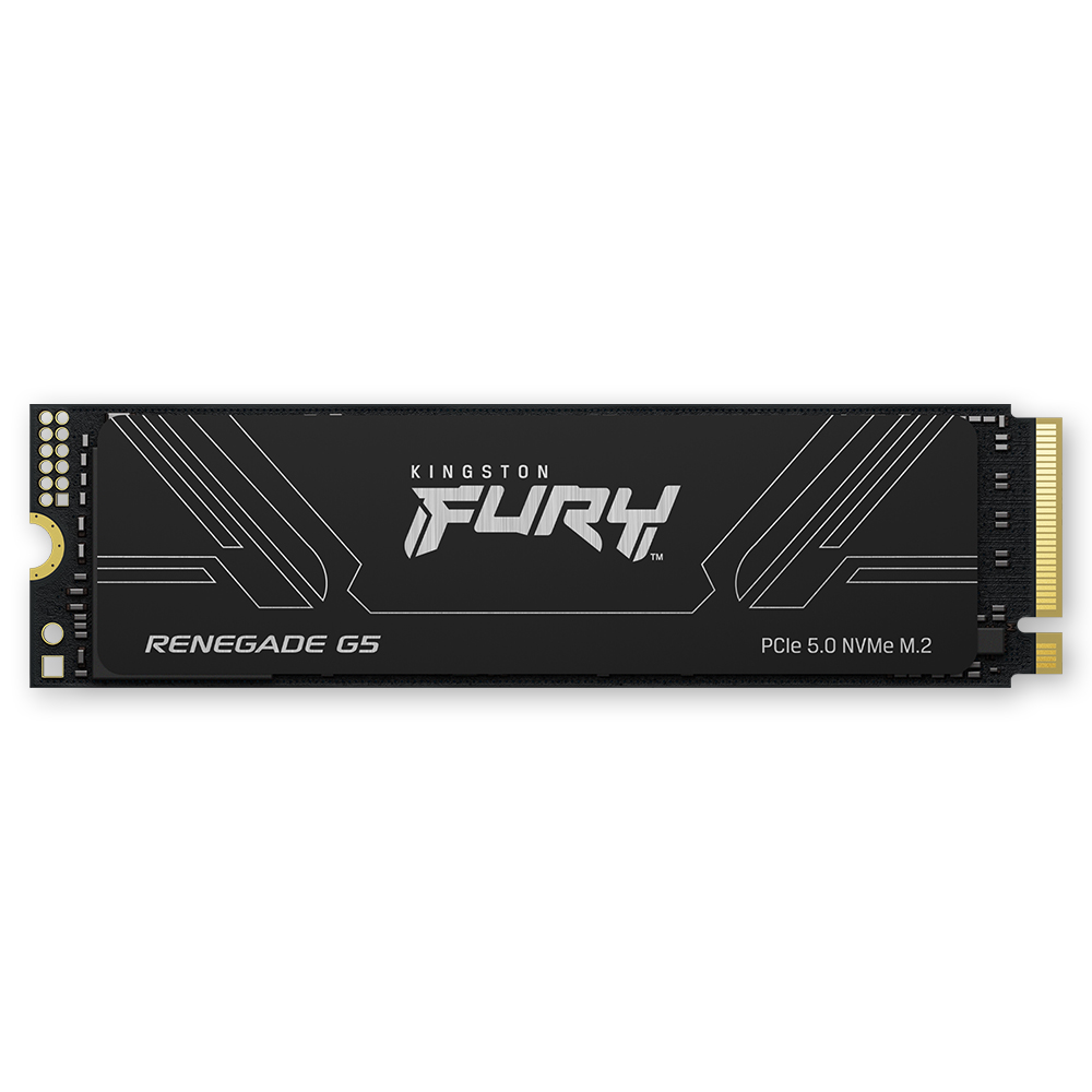 킹스톤 FURY Renegade G5 M.2 NVMe (4TB)