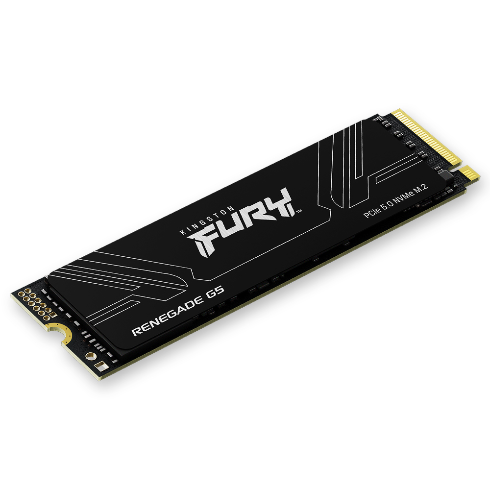 킹스톤 FURY Renegade G5 M.2 NVMe (4TB)_이미지