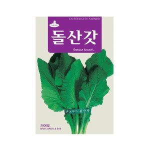 돌산갓씨앗