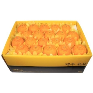 제주 한라봉 중 10kg