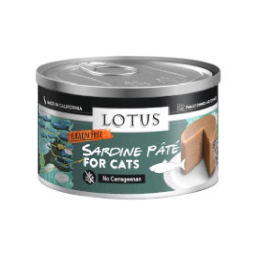 ������ Ĺ �׷������� ��� ���� 78g