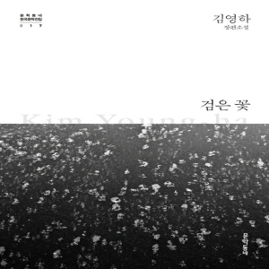 문학동네 검은꽃 김영하 장편소설 개정판