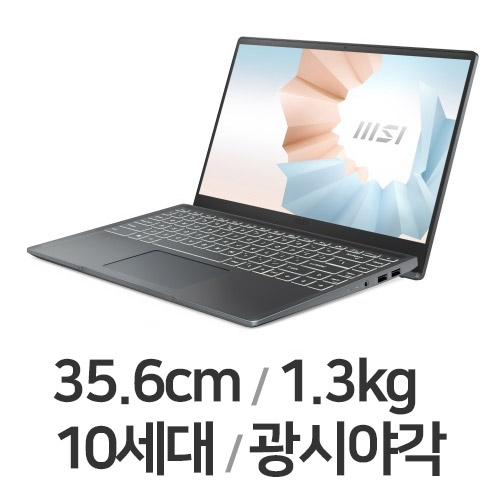 MSI 모던시리즈 모던14 B10MW-i5 카본 그레이 WIN10 16GB램 (SSD 1TB)