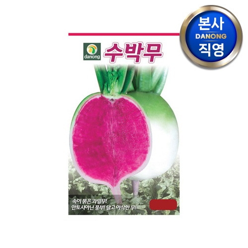 다농 수박무 씨앗 수박무우 씨 종자 100립_이미지