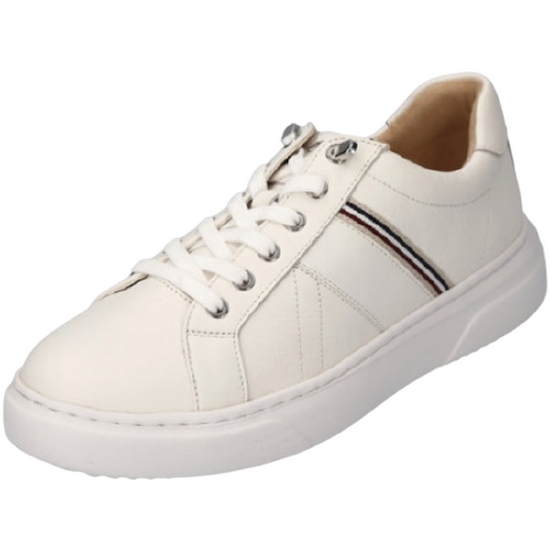 DFD���������ı׷� �Ҵ� ĳ�־� ����Ŀ�� ALF105HS30