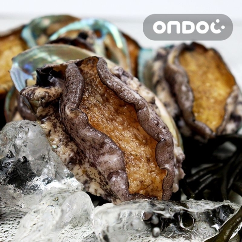 온도씨 완도 활전복 25~30미내외 소 1kg (1개)