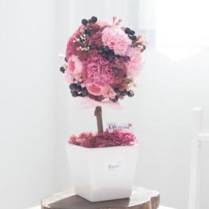 플라워트리 러넌 카네이션토피어리 화분set 30cm P4 조화 어버이날 스승의날 선물 감사 FAICFT -플라워트리