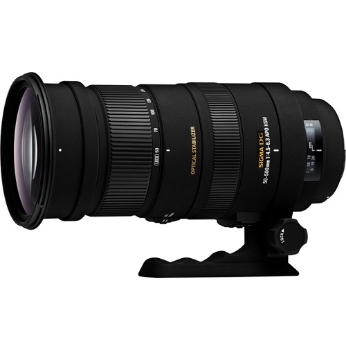 SIGMA APO 50-500mm F4-6.3 EX DG HSM SONY A용 (중고품) : 다나와