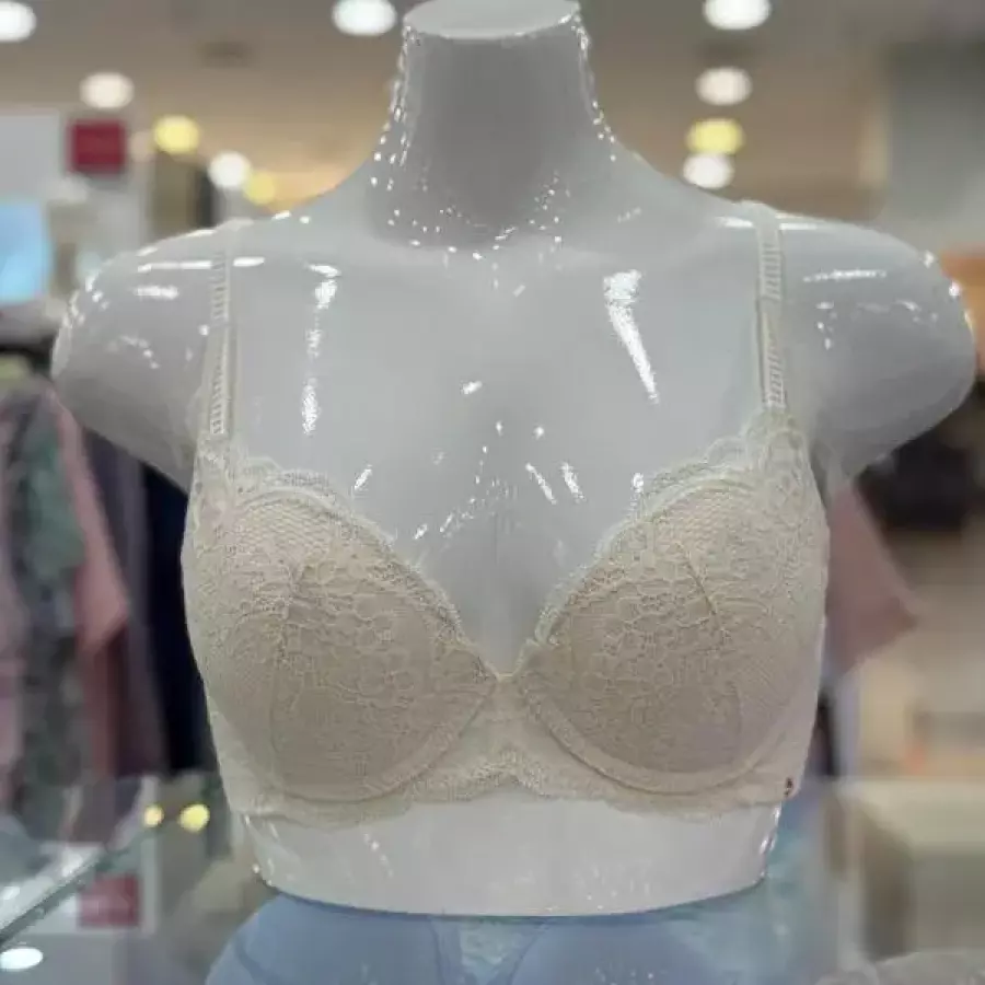 솔브 sh06 소프트 레이스 노와이어 브라D컵 소프트 레이스 노와이어 브라D컵 SBR S51845798