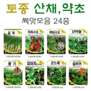 토종산채 약초씨앗24종/산나물씨앗/달래/적하수오/백