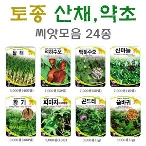 참쉬운수경재배 토종산채 약초<b>씨앗</b>24종/산나물<b>씨앗</b>/달래/적하수오/백