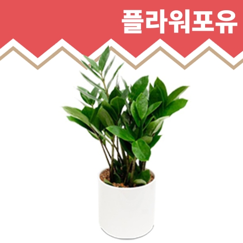 ����Ʈ�� ��������ȭ�й�� ������ ������ �꼼������ �𰥰������� ����Ʈ�� ���� �캸�� ũ���� ����Ű �������� ������ ������ �Ž�ȭ��