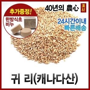  자애인 귀리 캐나다산 /볶은귀리/오트밀/슈퍼곡물