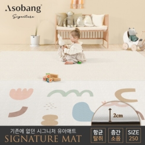 파크론 아소방 아소방 시그니처 놀이방매트 어도러블 250x150x2cm (1개)