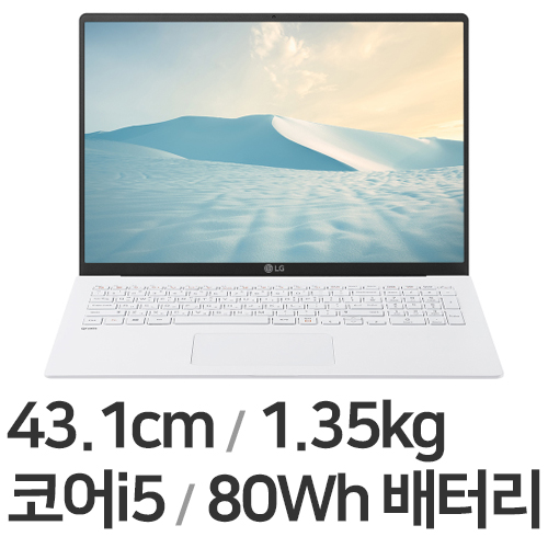 LG전자 2021 그램17 17Z95N-G.AR5MK (SSD 512GB)