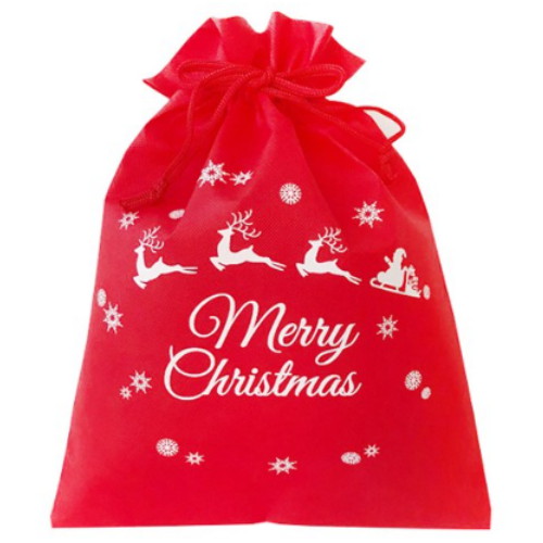 도나앤데코 루미 크리스마스 선물포장 부직포백 (L, 10개)_이미지