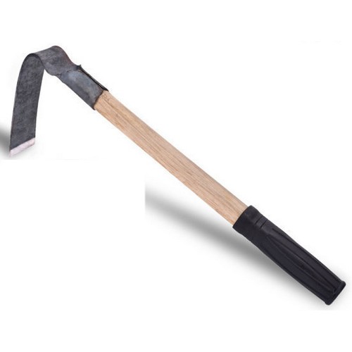 ������ �հ��