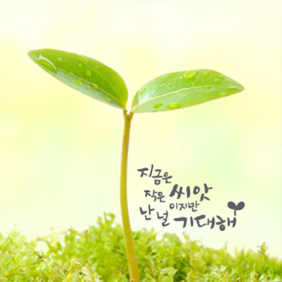 1AM 캘리힐링스티커 난 널 기대해 소_이미지