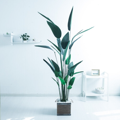 플라워트리 스카이버드화분set 220cm KO  5-5  조화 FREOFT이미지입니다. 누르면 해당 게시물로 새창이동합니다.