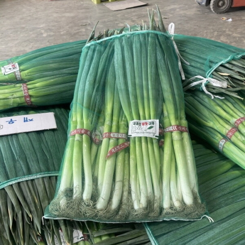 대박농수산 대파 5kg
