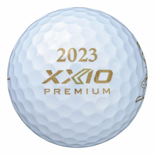 ���� ���ÿ� 2023 �����̾� ���� ������