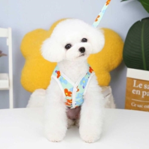 ���븶 ONM �ְ� ������ ��Ÿ�� ���ϸ� ��å �Ƿ� �ϳ׽� ���� 23569017