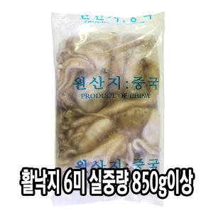 다인  활낙지 소 6미 실중량 850g 냉동낙지 볶음 탕