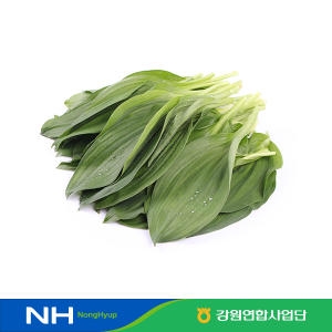 강원농협 맑은청 명이나물 잎 700g (1개)