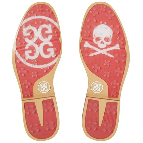 ������ �½� ��α� ũ���� �������� ���� G4LS23EF16