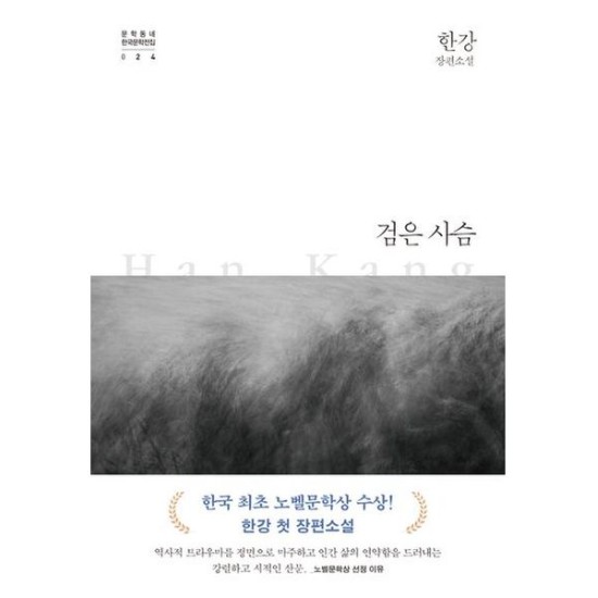 문학동네 검은 사슴 - 한강_이미지