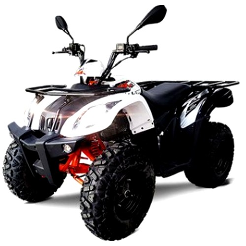 엑스웨이브 카요 ATV 200