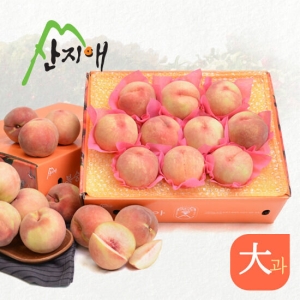 산지애 아삭아삭 햇복숭아 3kg (2개)_이미지