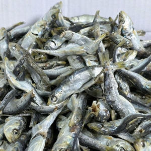 신건호멸치 남해안 햇 정어리 멸치 1.5kg 육수용 청어 솔치