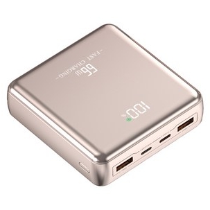 Raniz PD 66W 보조배터리 30000mah (샴페인)_이미지