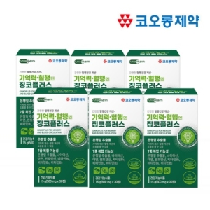 코오롱제약 기억력 혈행엔 징코플러스 500mg 30정 (6개)_이미지