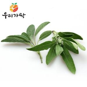  우리가락 세이지 12g 내외 한팩