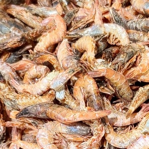 쪽빛누리 국산 먹새우 500g [1개]
