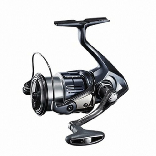 시마노 뱅퀴시 C3000MHG, 2019년형 (해외배송)