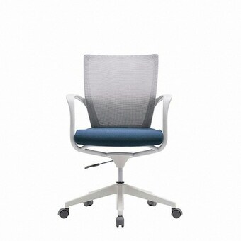 <b>시디즈</b> T50 TN503F 화이트쉘 메쉬의자 TNB503F