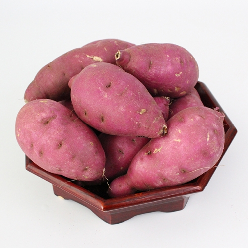 영암 친환경 꿀고구마 1.5kg
