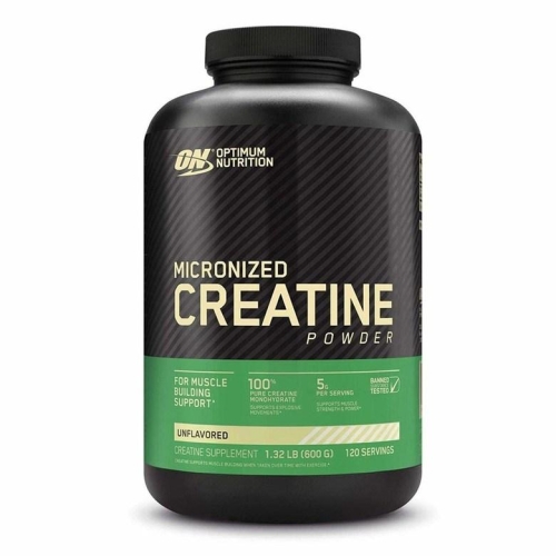 옵티멈뉴트리션 해외 Optimum Nutrition Micronized Creatine Powder
