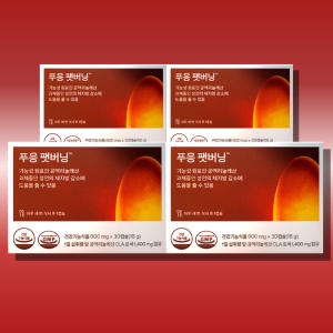 닥터블릿 푸응 팻버닝 600mg 30캡슐 (4개)_이미지