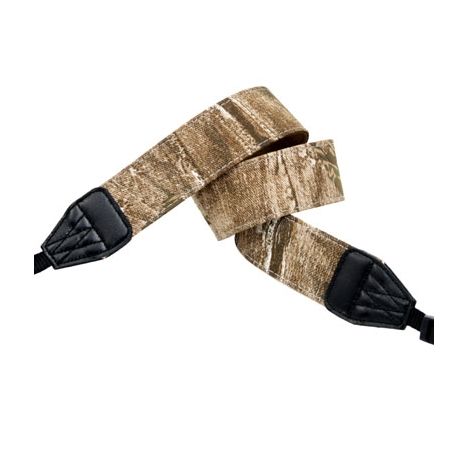 아르누보 사하라