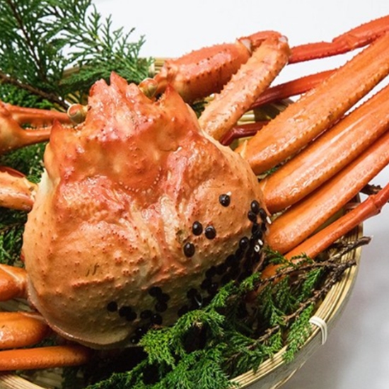 ���þ� �ڼ� �ڴ޴�� �����ũ�� Ȧ���� 3L 4kg