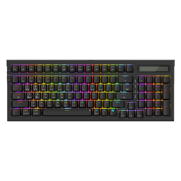 ���� K562 ��ü�� 3��� ���� ������ ����