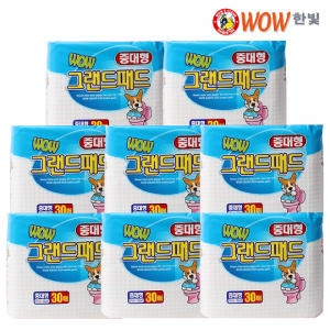 한빛 와우 그랜드 패드 중대형 30매